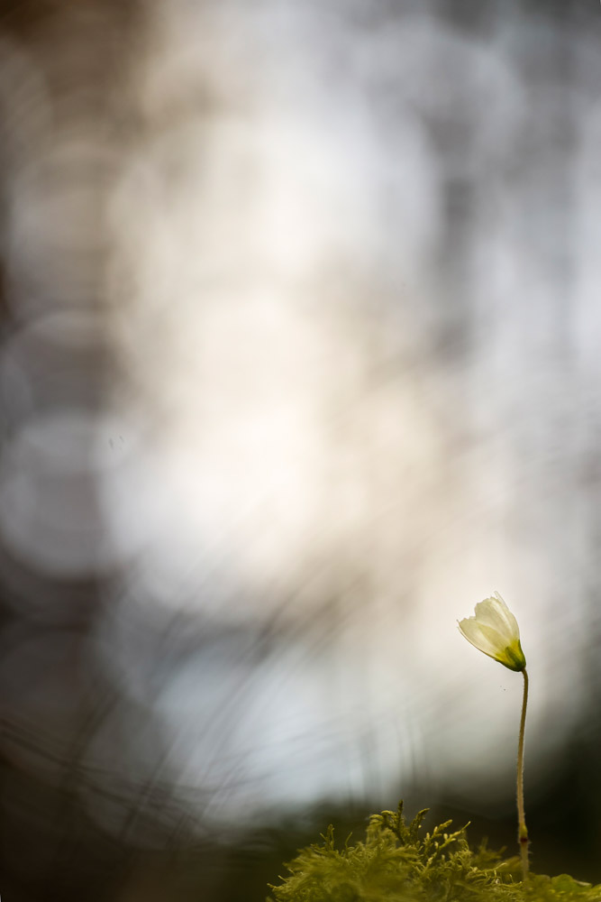 Platz 2 Conny Kleiner